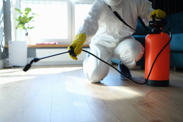 Best Flea Control Services  in Parker, TX