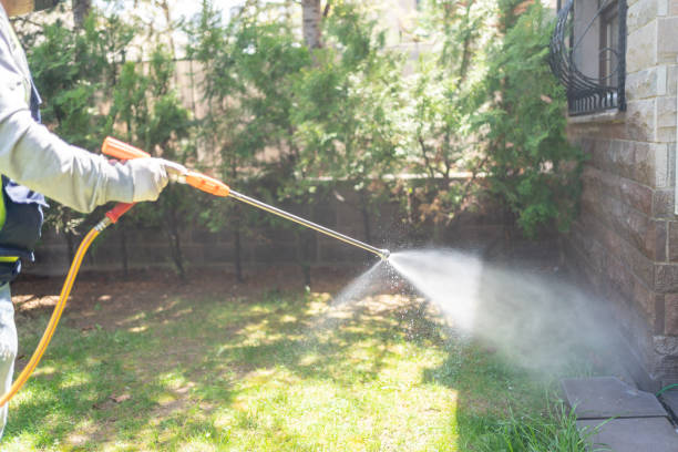Best Rat Extermination Near Me  in Parker, TX