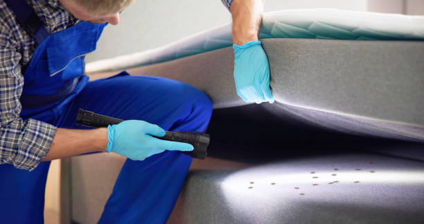 Best Pest Inspection Near Me  in Parker, TX