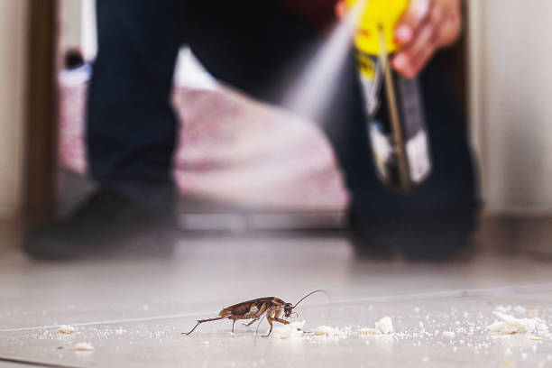 Professional Pest Control in Parker, TX