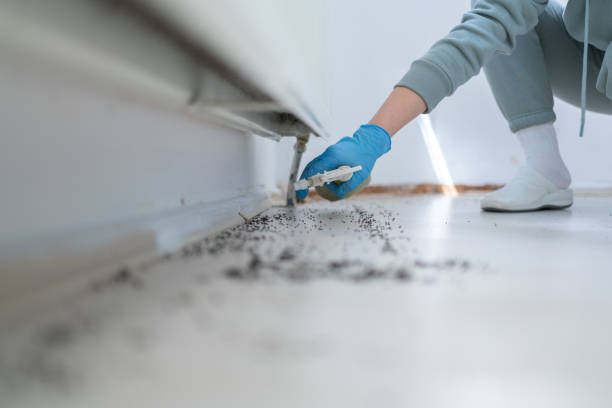 Best Best Pest Control Companies  in Parker, TX